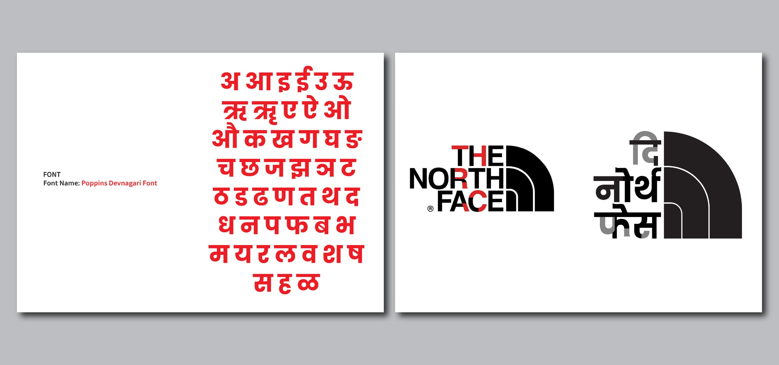 The North Face 3